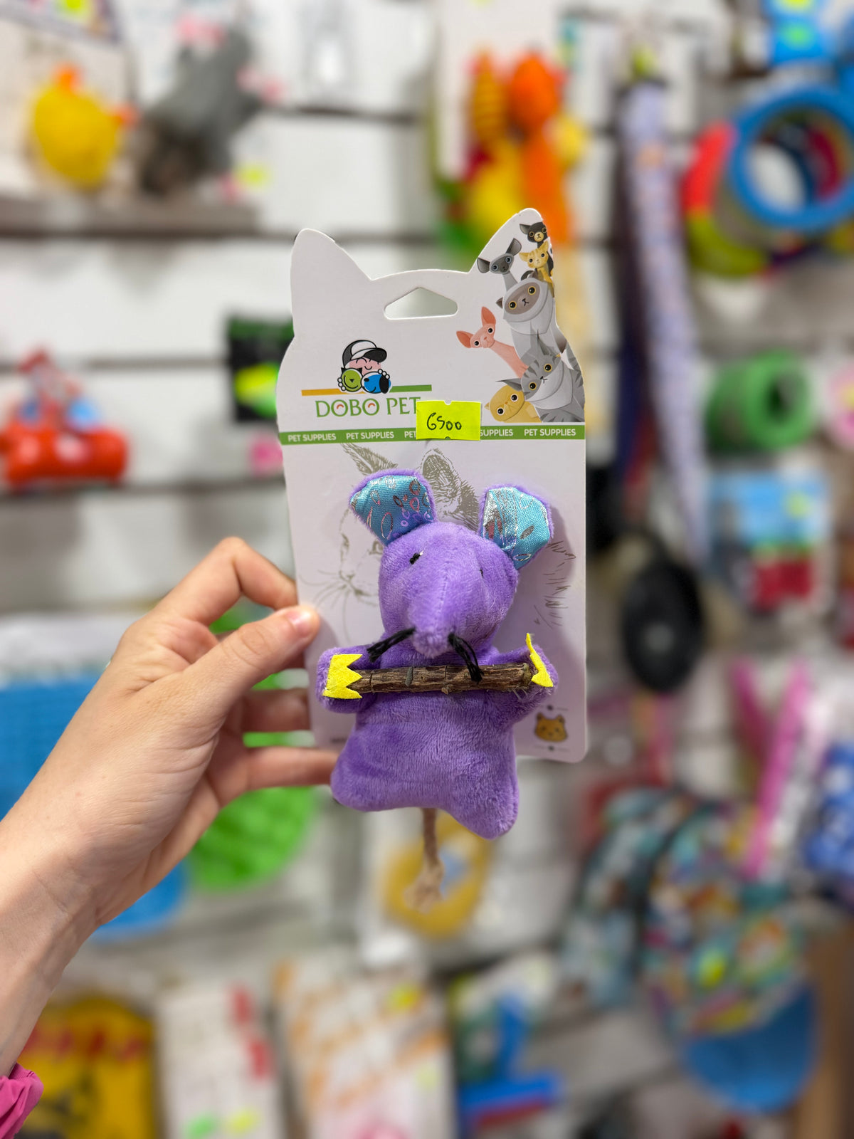Ratoncito Violeta