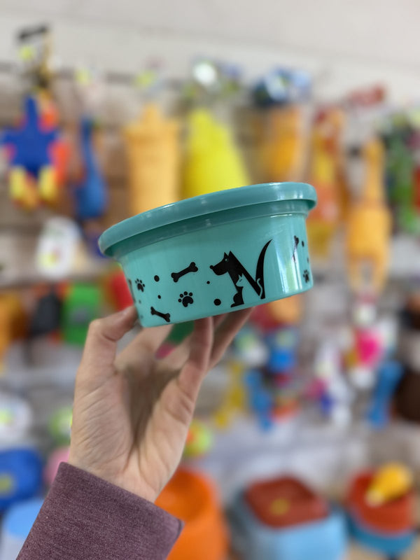 Comedero redondo turquesa con estampado de perros