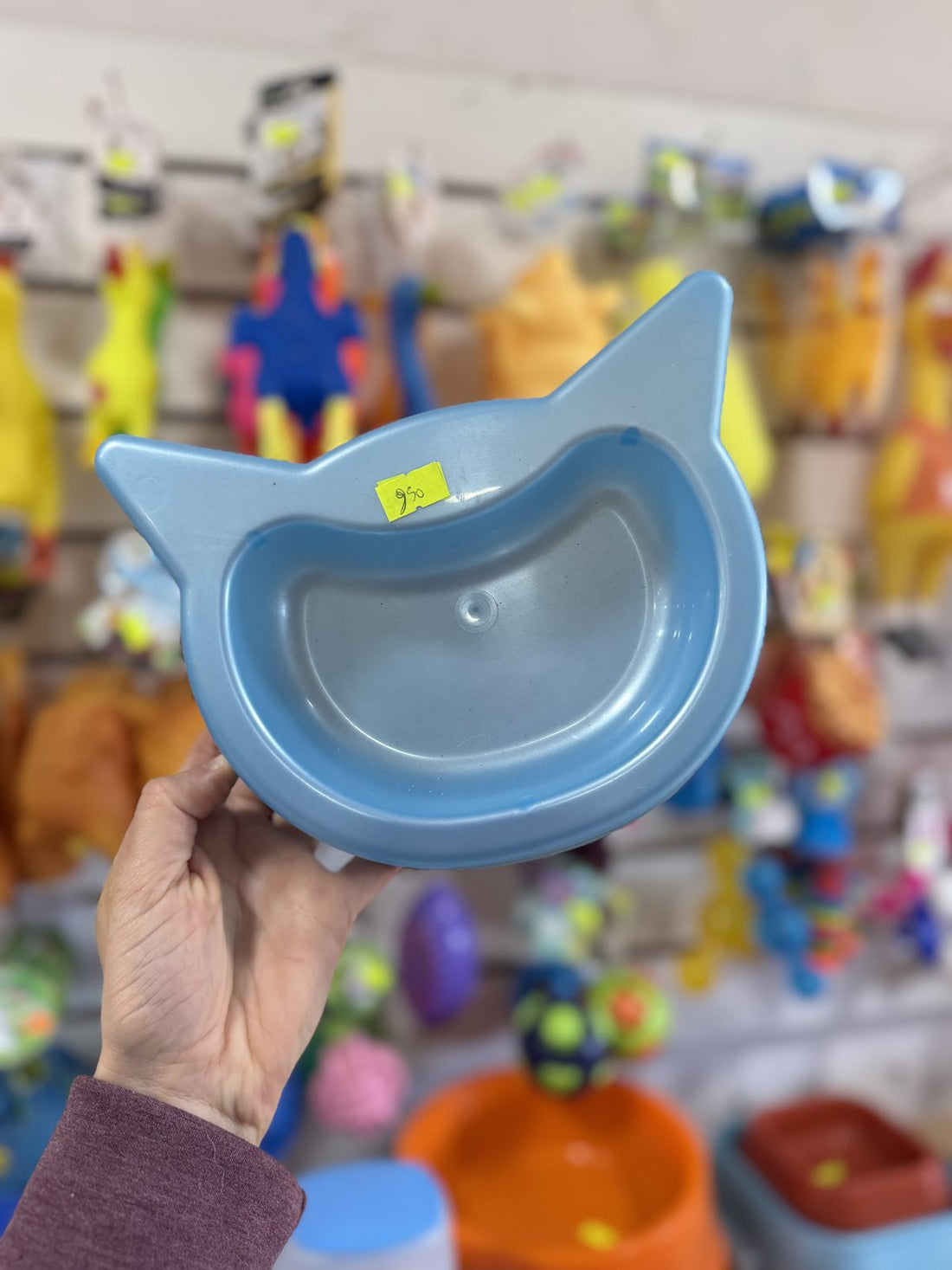 Comedero Forma de Gato Celeste