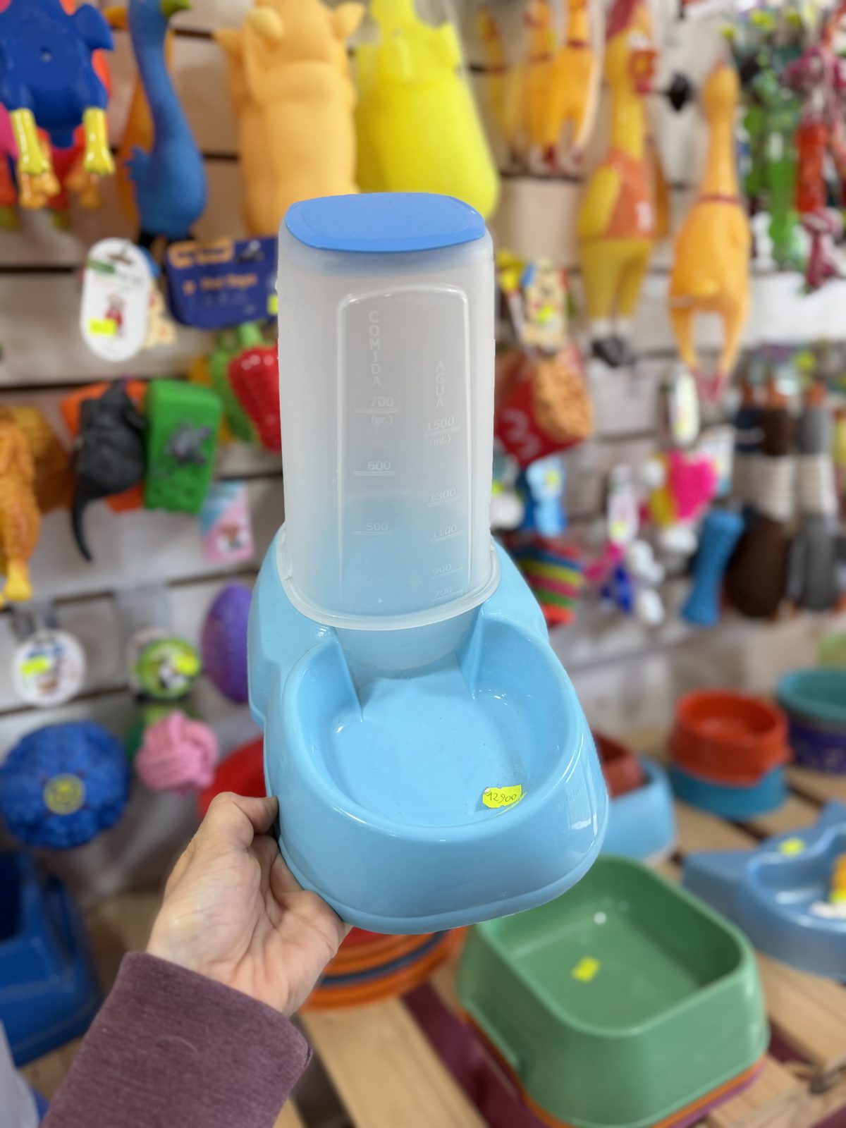Comedero dispensador automático celeste