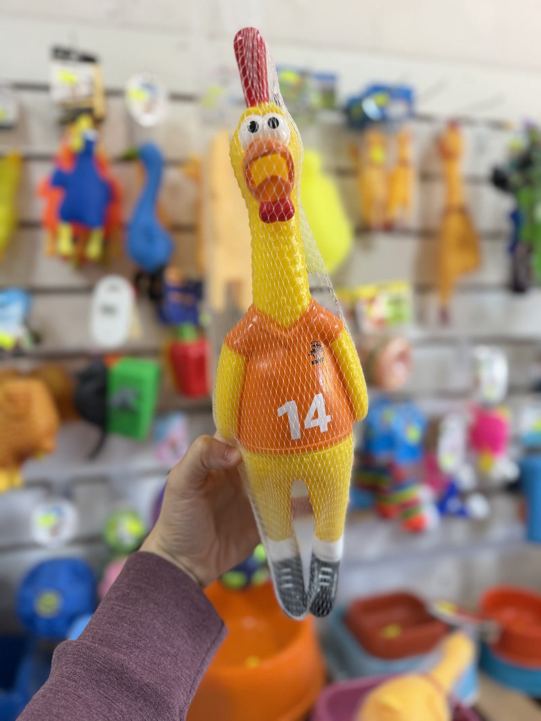 Gallina de Goma Futbolista con Chifle