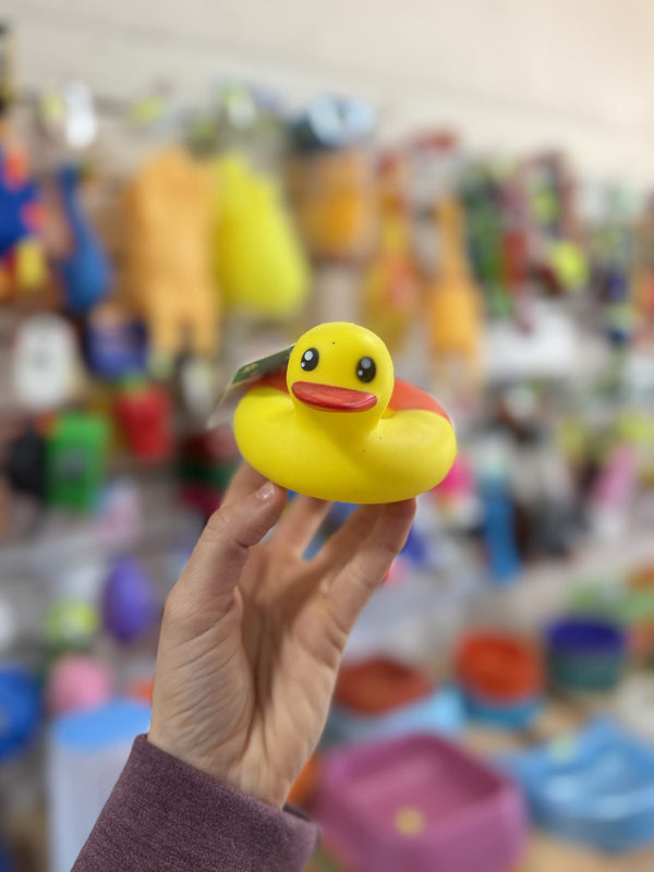 Patito de goma amarillo clásico