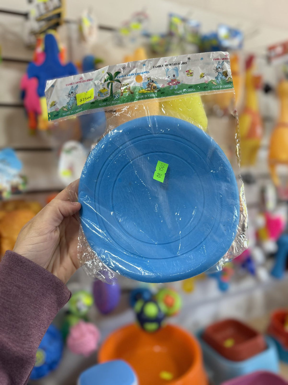Frisbee Celeste