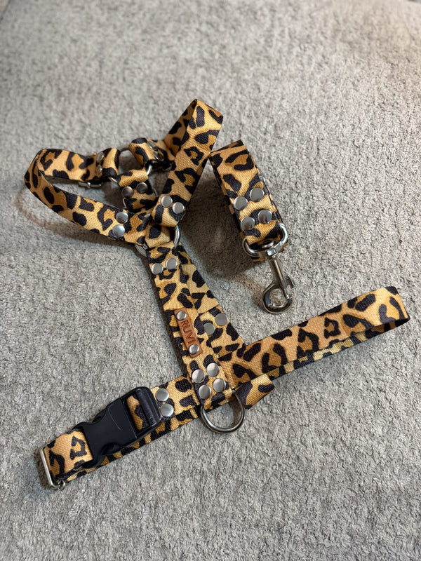 Pretal y correa animal print leopardo